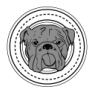 Boston Bulldogs Running Club | Co-Ed Non-Profit Running Club